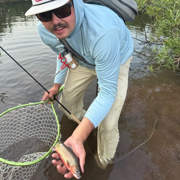 Meet your Posher, Hunter - Picture 1 of 1